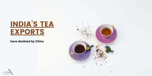 India’s Tea Industry has been growing consistently for longer than a century. In 2021, the entire value of the industry stands at $1.7 Billion
https://www.cybex.in/blogs/india-tea-exports-have-declined-by-china-10057.aspx