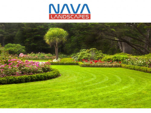 Nava Landscapes is offering landscape contractors in San diego. Nava Landscapes has more than 12 years of landscape contracting and design experience in San Diego and the surrounding areas.
Visit us:-http://navalandscapes.com/landscape-contractor/