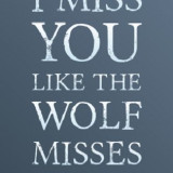 love-quotes-for-him-i-miss-you-like-the-wolf-misses-the-moon-long-distance-relationship-heartbreak