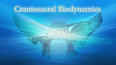 Learn more about Biodynamic Craniosacral therapy in our professionally-designed online courses. Get your online education of this therapy at competitive prices. https://lyonsinstitute.com/