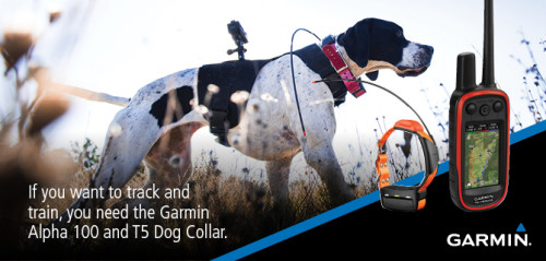 Shop for Garmin products online at best price in USA at Garminproductstore4us.com. We offer wide range of Garmin products online with free shipping & return.

More Info = https://www.garminproductstore4us.com/