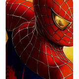 mousepad_0002_106-spider-man.psdmousepad