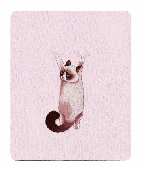 mousepad_0029_363-hanging-cat.psdmousepad.jpg