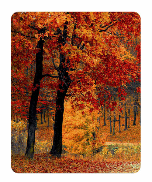 mousepad 0061 492 the scenic beauty.psdmousepad