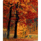 mousepad_0061_492-the-scenic-beauty.psdmousepad