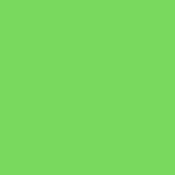 neon-green-SWATCH