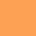 neon-orange-SWATCH.jpg