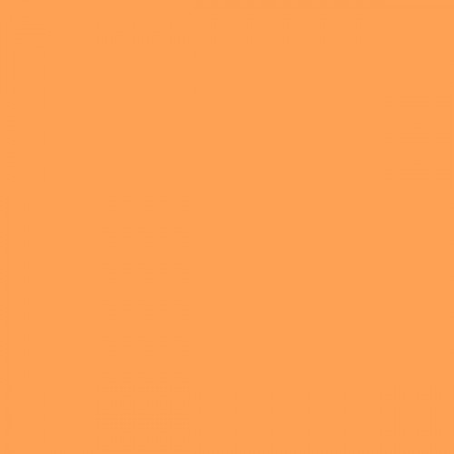 neon_orange_SWATCH.jpg