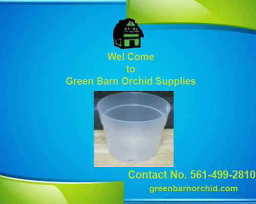 Clear orchid pots for sale online at a low price in Green Barn Orchid Supplies online store. Here you can find all varieties of clear orchid pots for your orchids. For more product details call at 561-499-2810 or visit our website: http://shop.greenbarnorchid.com/category.sc?categoryId=3