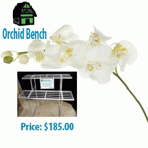 Orchid bench for sale online at best price in Florida from Green Barn Orchid Supplies. Here you can find all varieties of orchid bench for your orchids. For more product details call at 561-499-2810 or visit our website; http://shop.greenbarnorchid.com/category.sc?categoryId=7