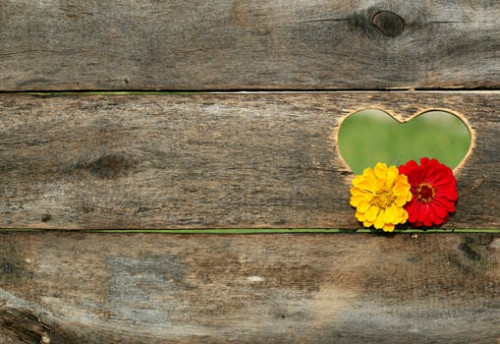 postcard-heart-flowers-board-158635.jpg