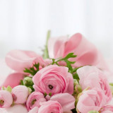 roses-bouquet-congratulations-arrangement-68570