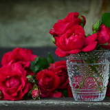 roses-red-roses-bouquet-of-roses-glass