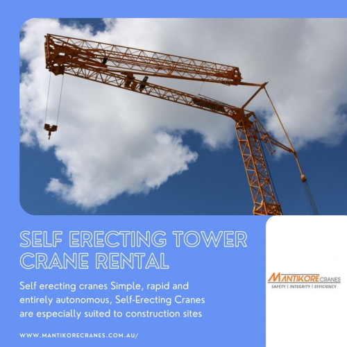 self-erecting-tower-crane-rental.jpg