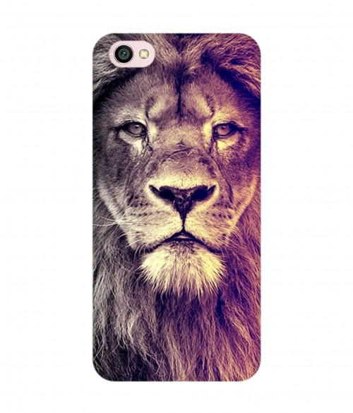 small_0000_259-lion-attitude.psdMI-Y1-lite.jpg