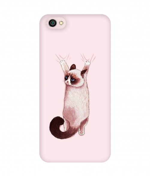 small 0104 363 hanging cat.psdMI Y1 lite