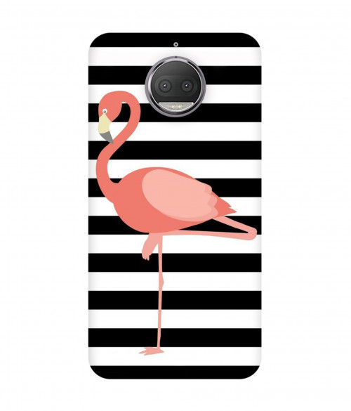 small 0171 430 flamingo.psdmoto G5s plus