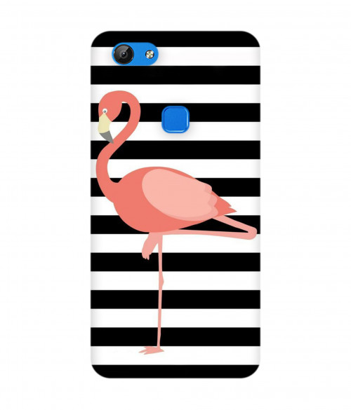 small_0171_430-flamingo.psdvivo-v7.jpg