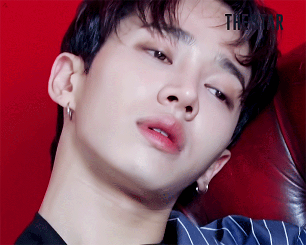 the_star_11.gif