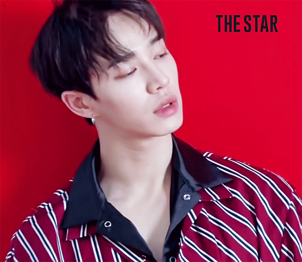 the_star_7.gif