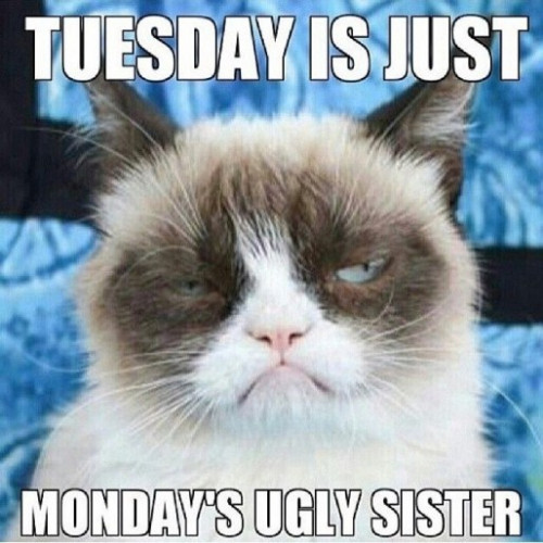 tuesday-is-just-mondays-ugly-sister-hilarious-meme.jpg