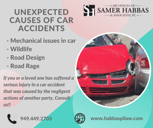 Below are the unexpected causes of car accidents: 

- Mechanical issues in car 
- Wildlife 
- Road Design 
- Road Rage