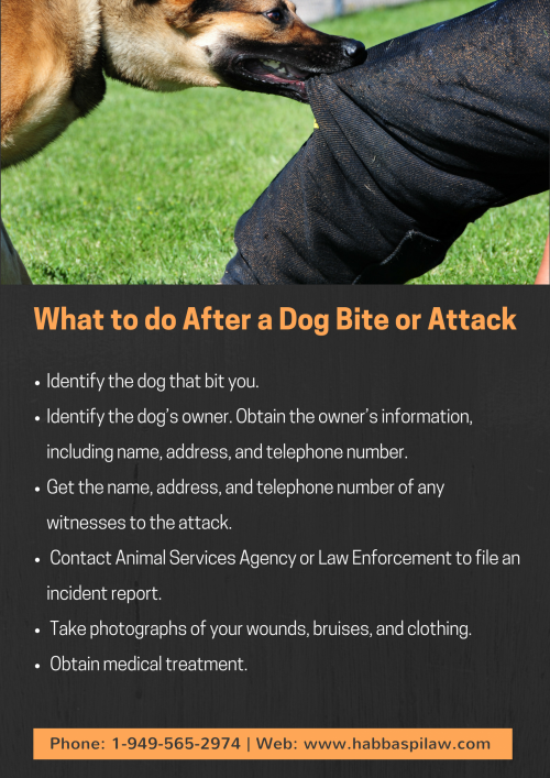 what-to-do-after-a-dog-bite-or-attack_5ae3124fac7d6_w1500.png