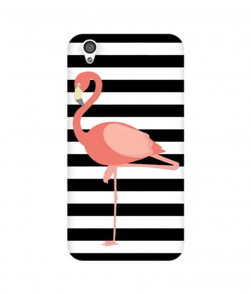 xtrasmall 0171 430 flamingo.psdone plus X